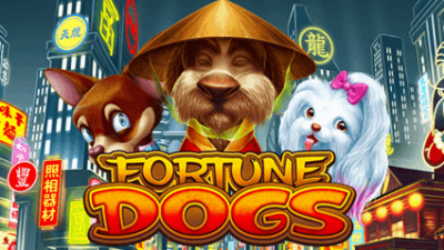 FORTUNE DOGS