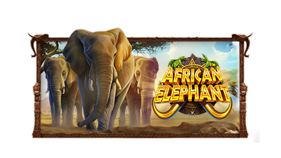 African Elephant™